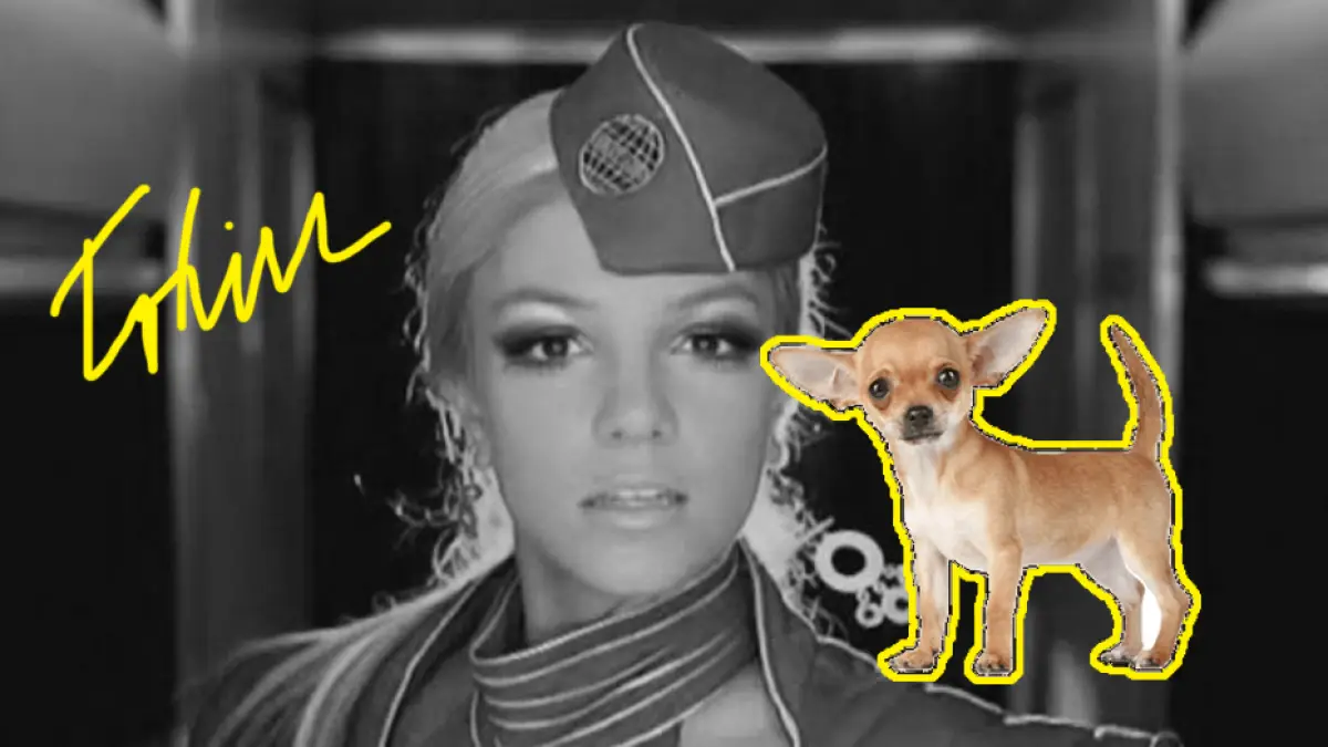Toxic-perrito