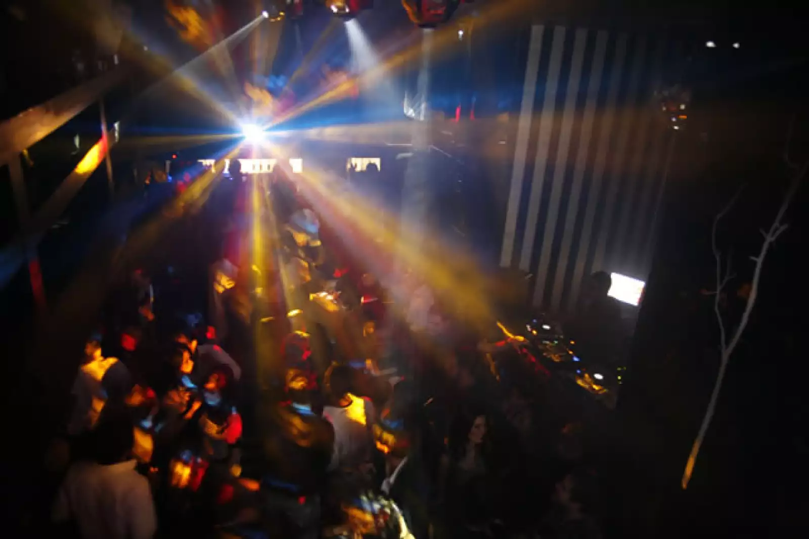 Fiesta en Park Condesa