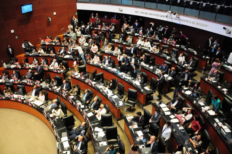 senado
