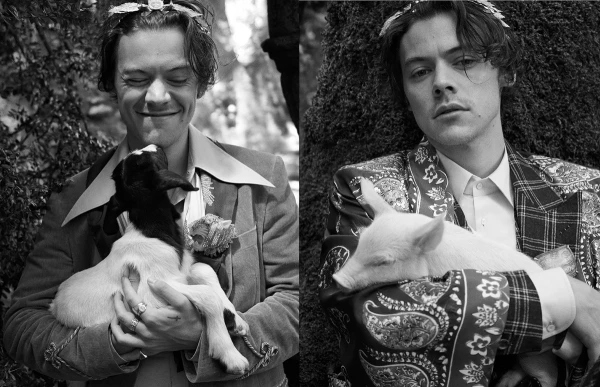 Harry-Styles-Gucci