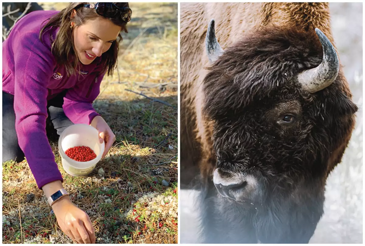 manos-moldean-yukon1