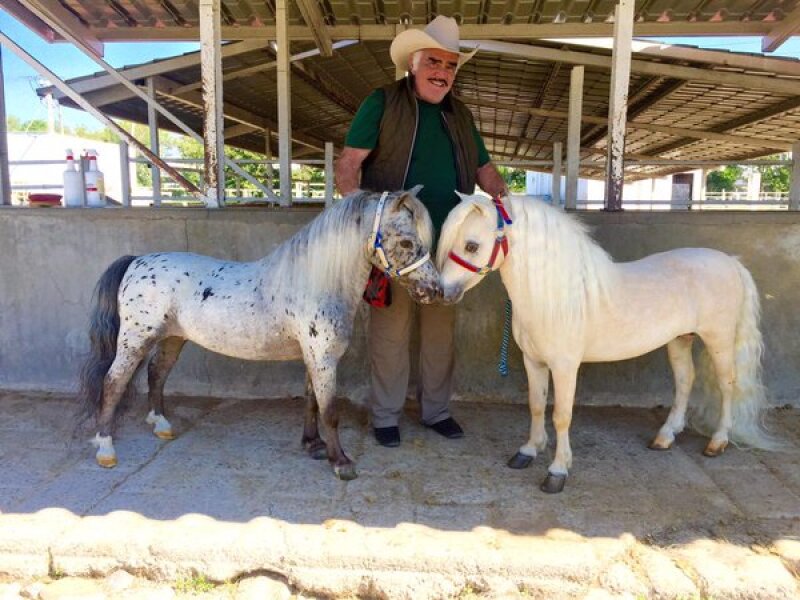Vicente Fernández