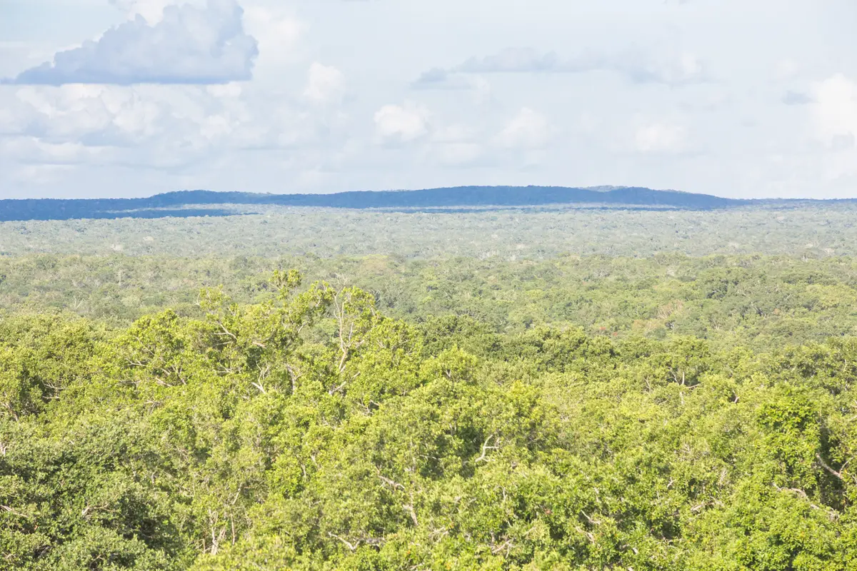 Así es en la actualidad la zona donde se construirá la Estación Calakmul
