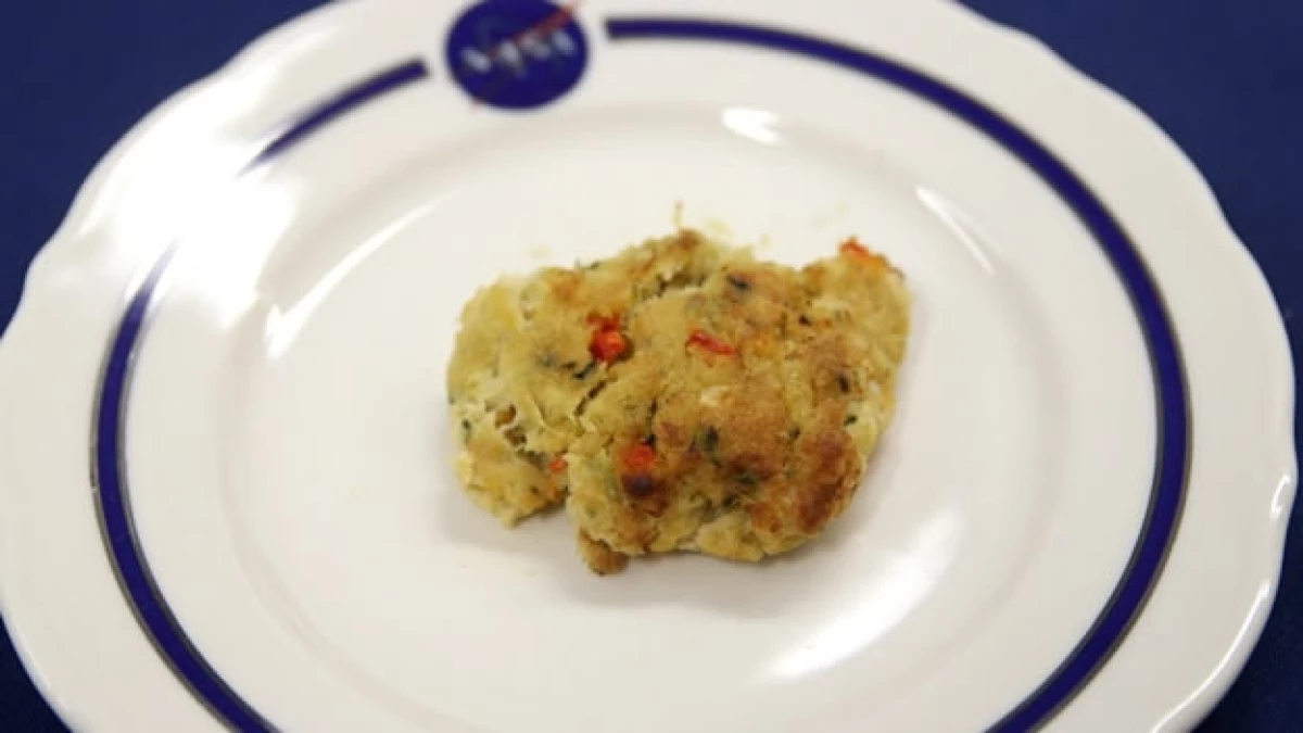 tortas de cangrejo nasa