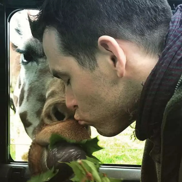El actor Ryan Reynolds le plantó un beso a una jirafa durante un safari.
