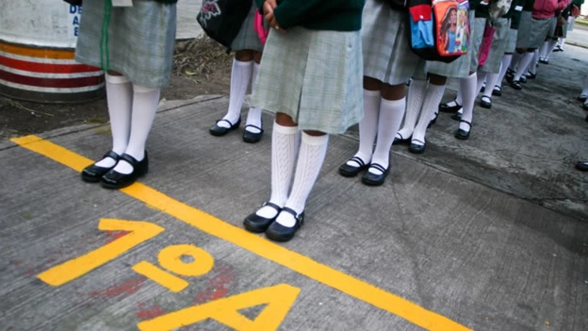 primaria mexicana