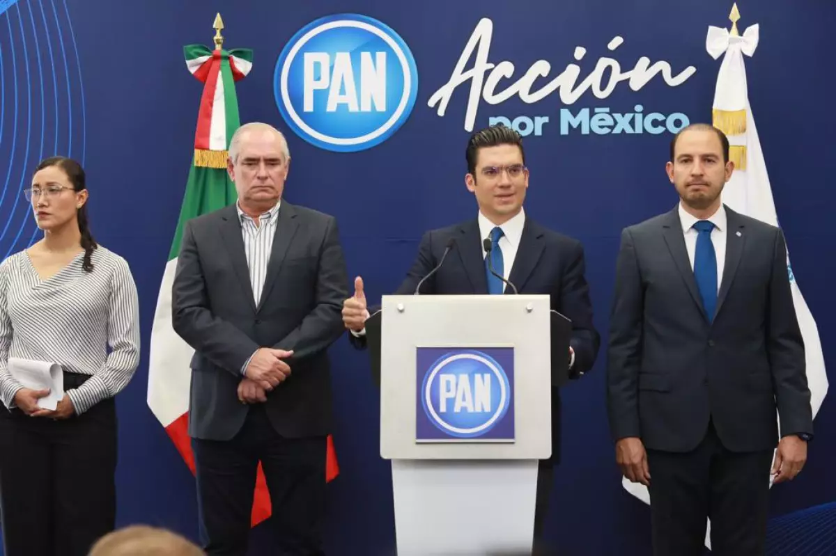 acción-nacional