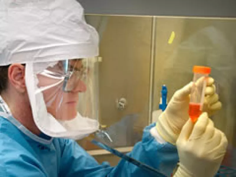 México, a la vista de todo el mundo (Foto: Archivo)