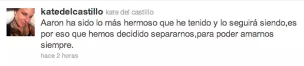 Kate del Castillo dio la noticia en su cuenta de Twitter.