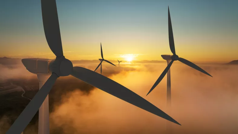 Energía eólica, la más asequible del mundo... y México la desaira