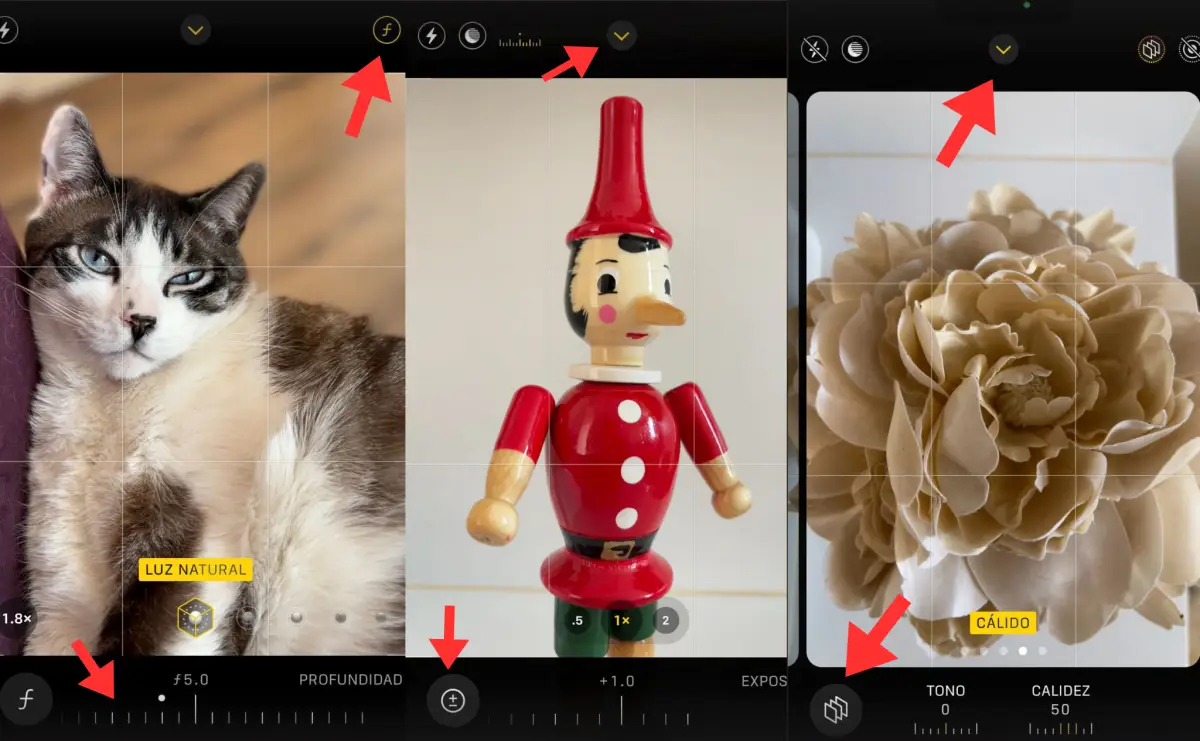 Día Mundial de la Fotografía: 7 trucos para tomar mejores fotos con tu iPhone