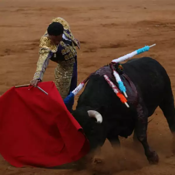 Corrida de Toros 15/02
