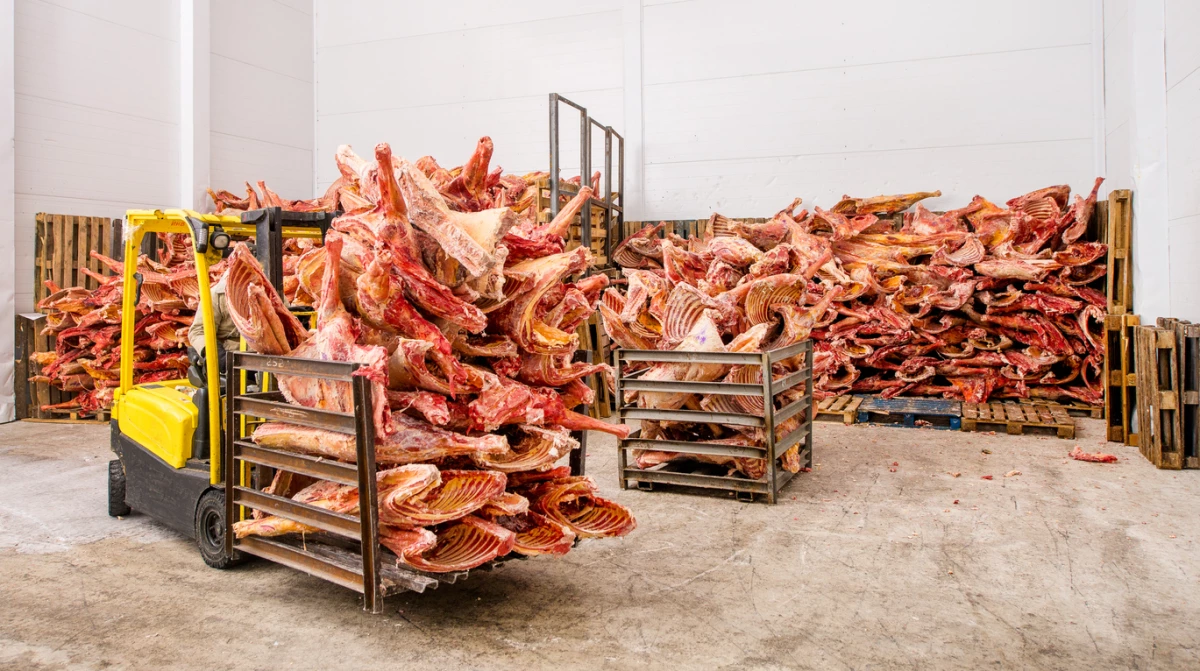 carne de cerdo congelada