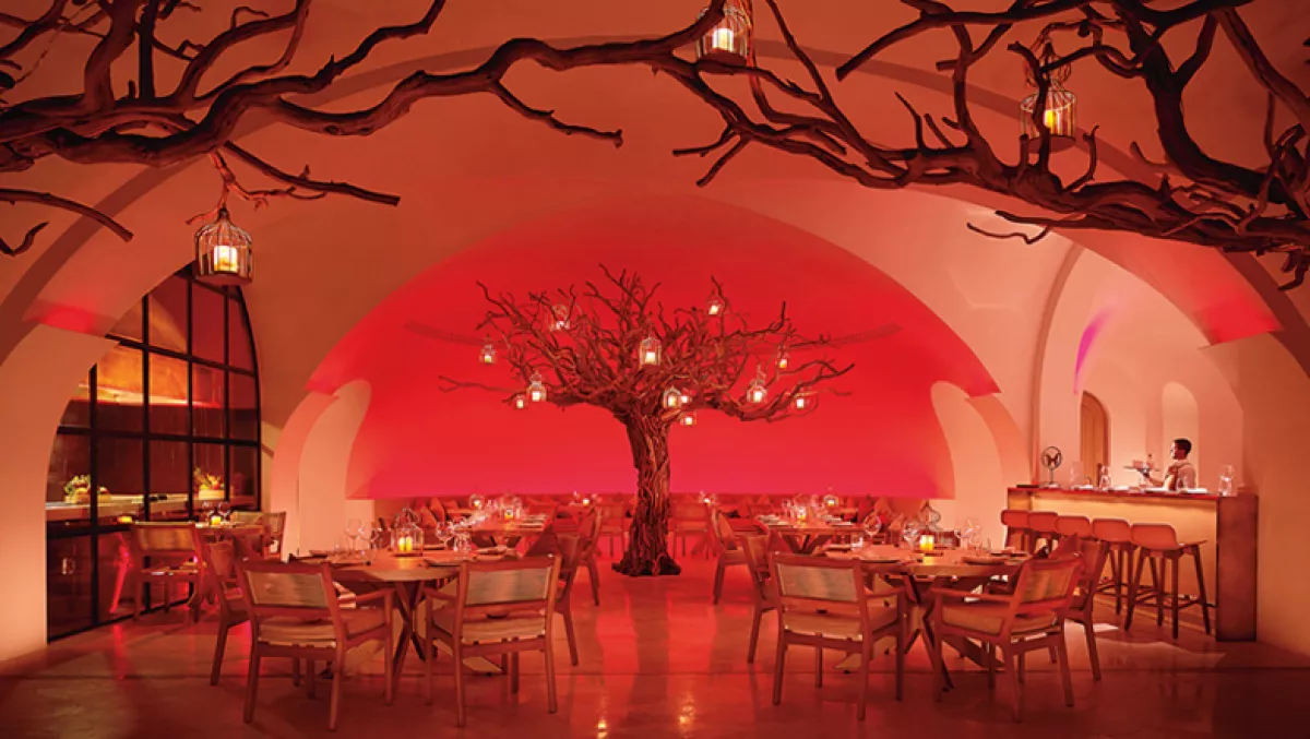 3VIDAPARAISO (1).jpg