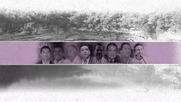 Candidatos a la gubernatura.