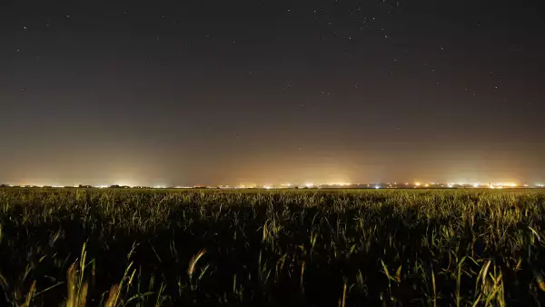 Una bruma de luz artificial bloquea el cielo nocturno.