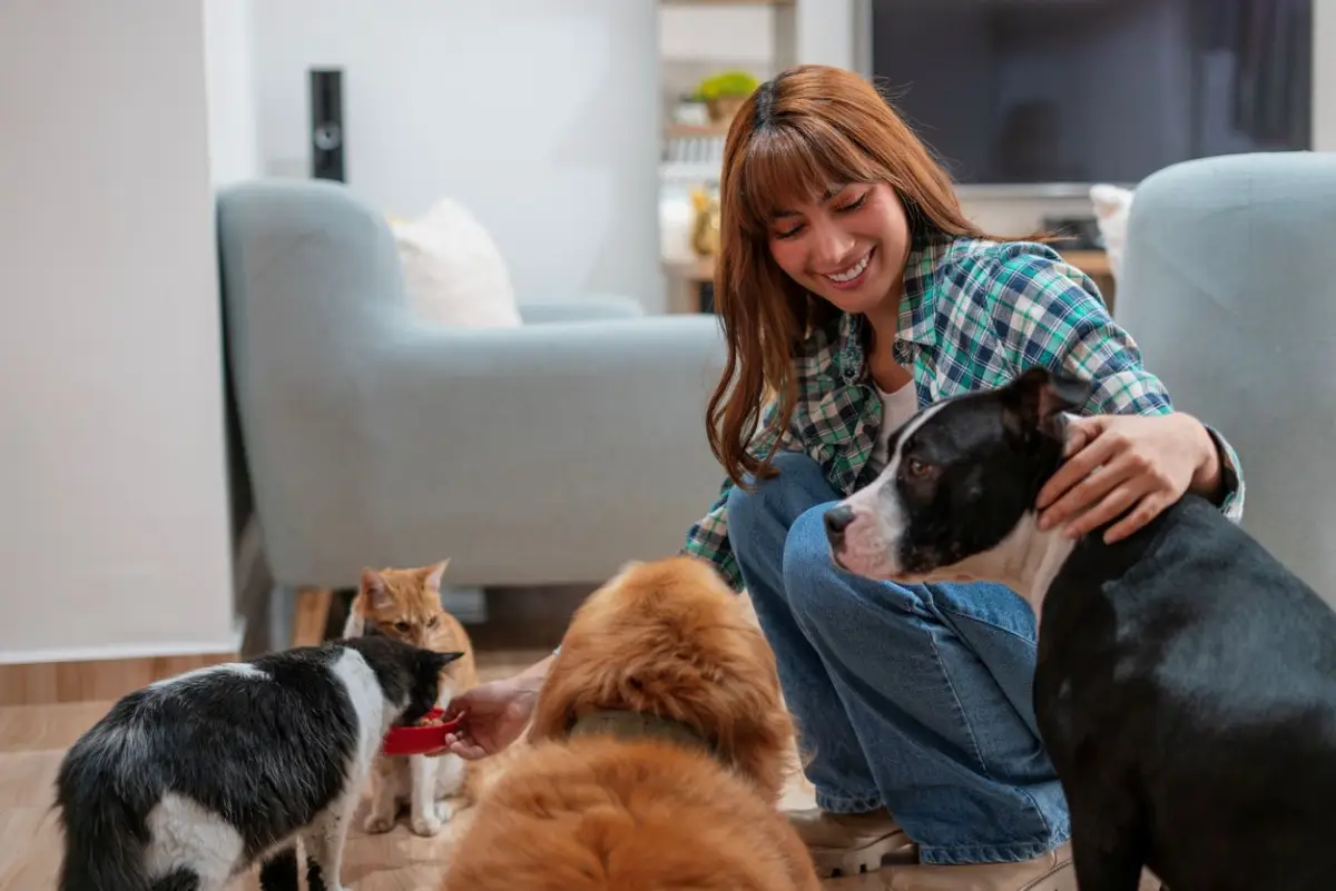 #ColumnaInvitada | Nuevas mejores amistades de los animales