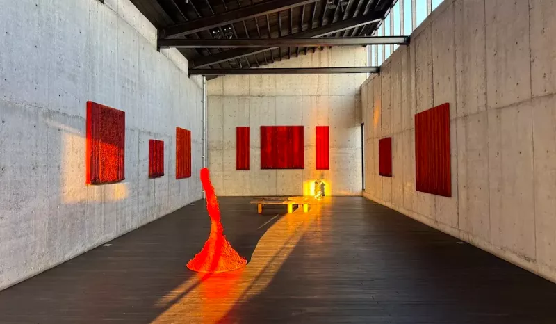 semana del arte cdmx 2025