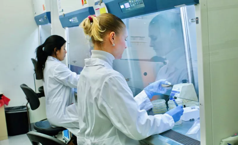 En los alimentos la biotecnología interviene en procesos como la fermentación y el desarrollo de nuevos productos donde la microencapsulación permite proteger microorganismos benéficos para mantener su viabilidad hasta llegar al lugar donde serán utilizados.