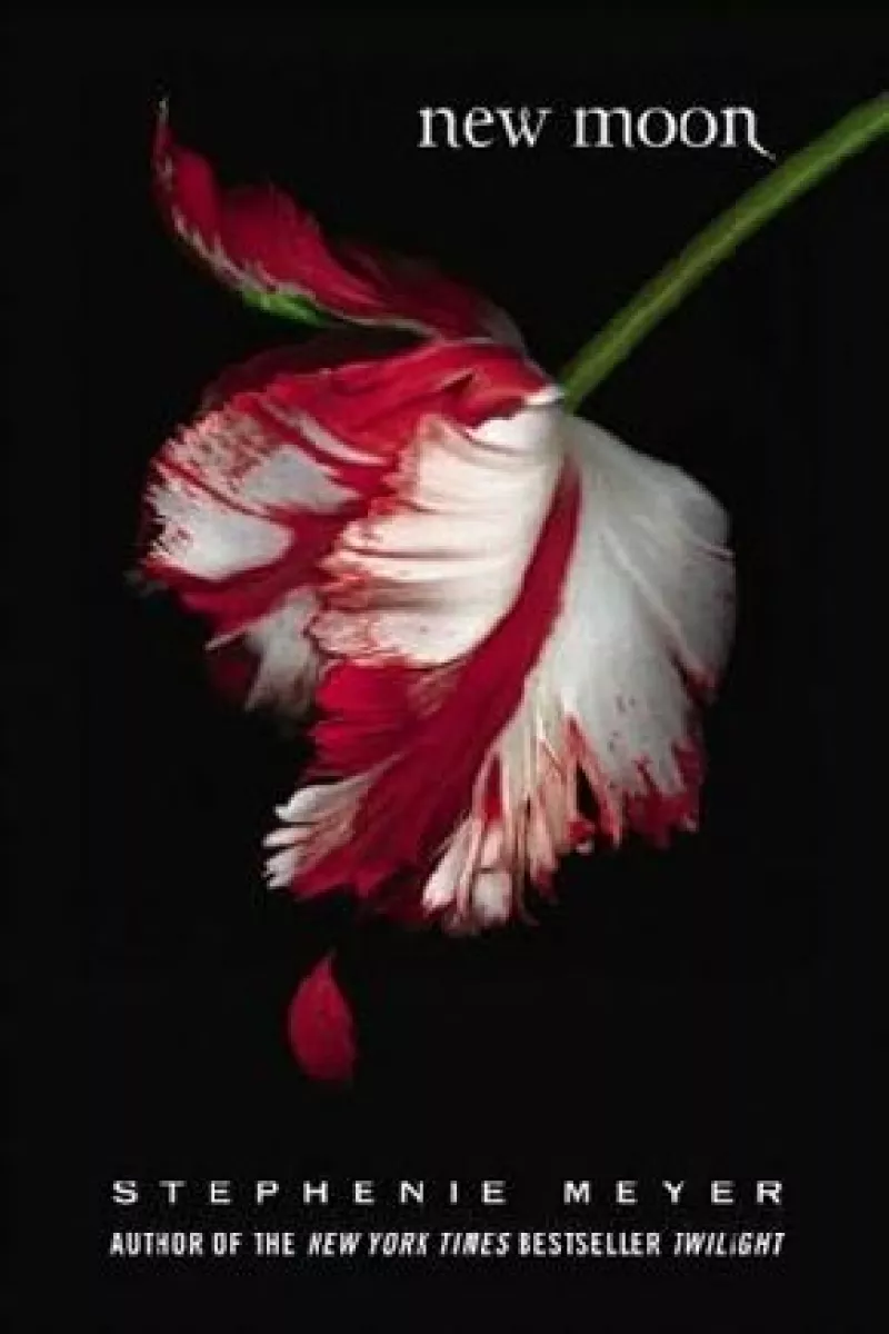 Este jueves cientos de actores se presentaron a las pruebas para la segunda parte de la cinta ‘Crepúsculo’, pero muchos fueron rechazados debido al exceso de asistentes.