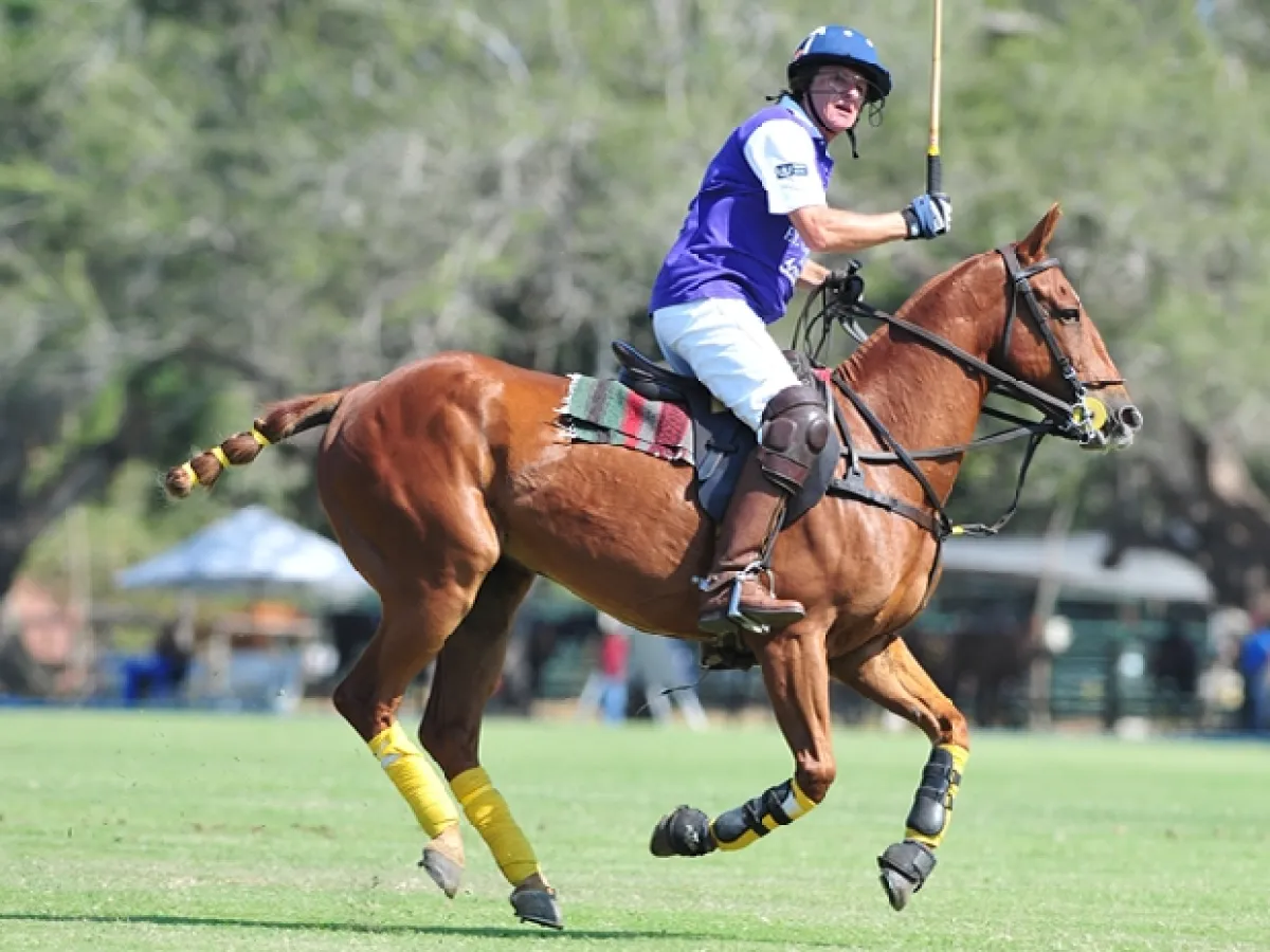 Seis equipos se disputarán el torneo de este año, entre ellos el de Giorgio Brignone.