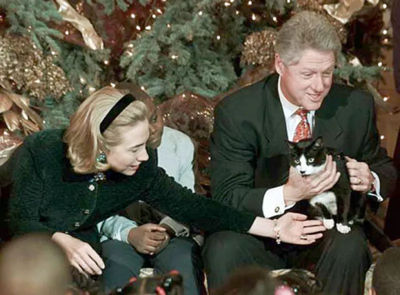 Hace seis años los usuarios de redes sociales decidieron que el 20 de febrero celebrarían a los mininos, en honor a Socks, el gatito de la hija del expresidentes de Estados Unidos.