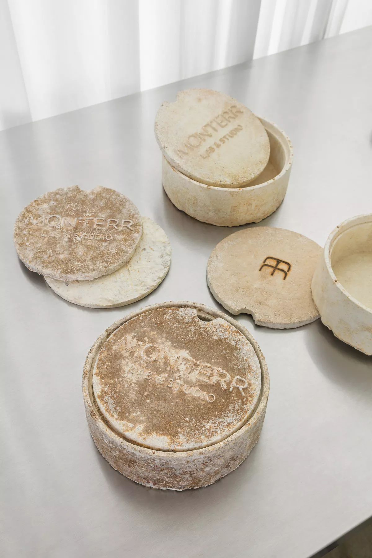 monterr-diseño-muebles-hongos