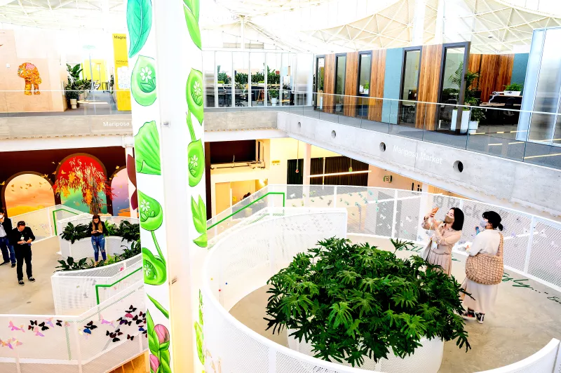 Google Bay View Campus 2022