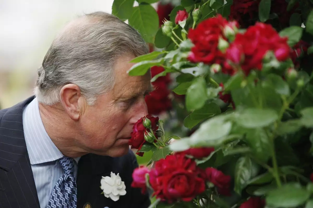 Chelsea Flower Show - Press & VIP Preview Day