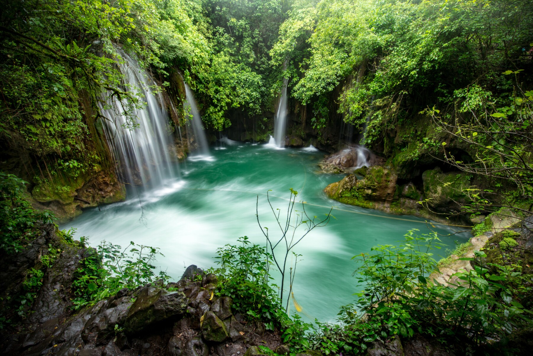 Como Ayudar Al Medio Ambiente Despues De La Pandemia De Coronavirus