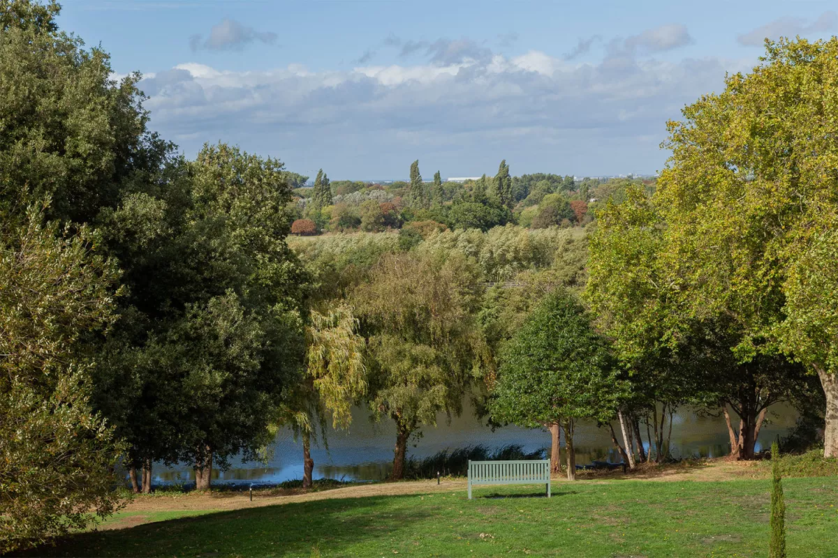 Surrey Countryside.jpg