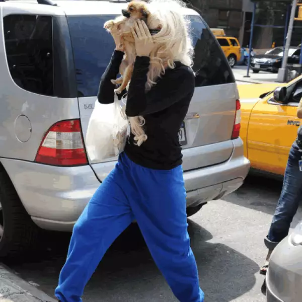 Esta foto resume lo mal que se encontraba la actriz hace unos meses antes de entrar a rehabilitación, llevando una peluca desastrosa y tapándose la cara con su mascota.