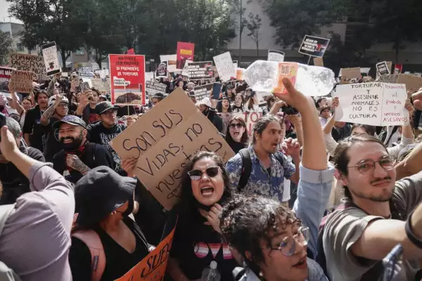 MEXICO-ANIMAL-BULLFIGHTING-DEMONSTRATION