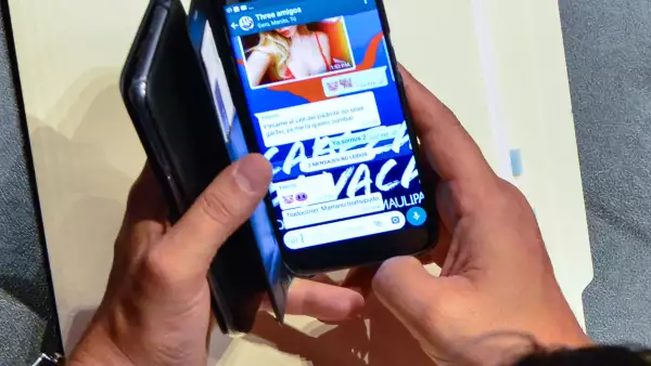 Chat de García Cabeza de Vaca