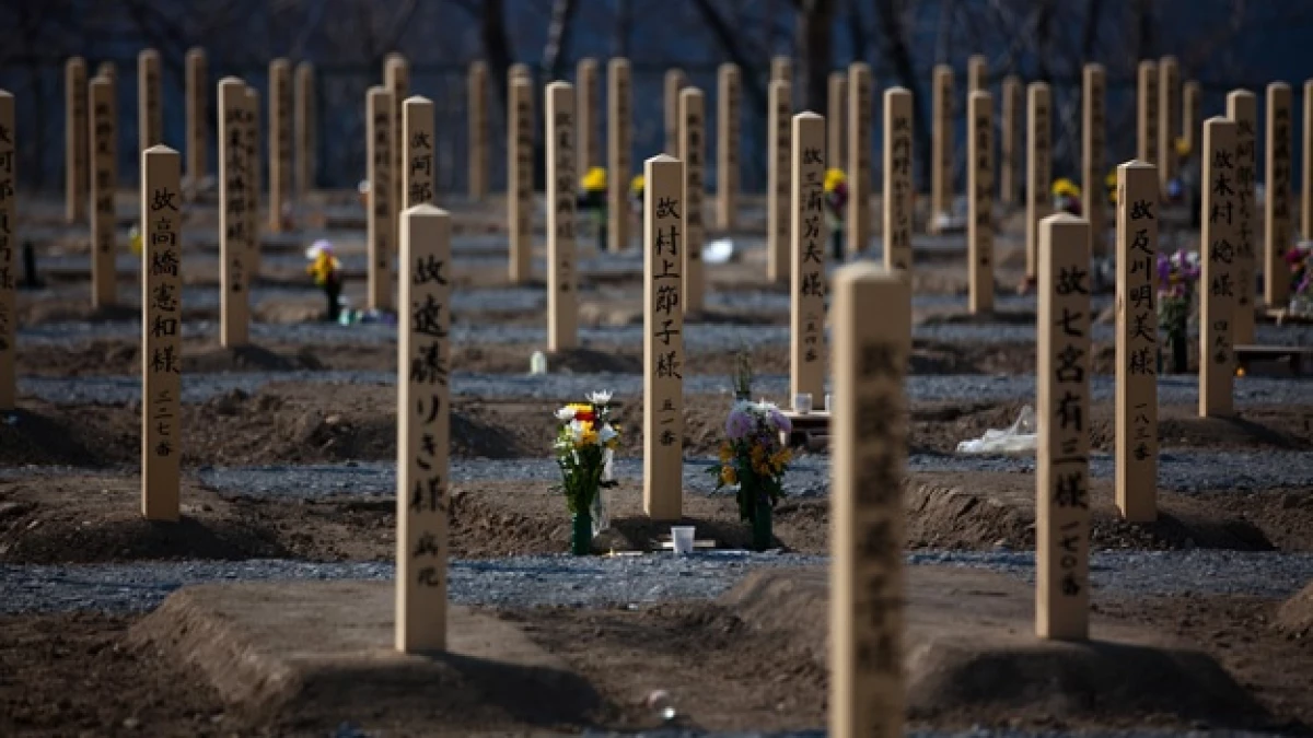 Japón - cementerio