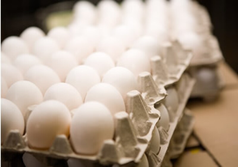 México es el sexto productor mundial de huevo, el año pasado logró recabar dos millones 306,000 toneladas de este alimento. (Foto: Jupiter Images)