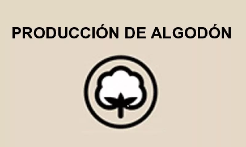 Algod�n Info.