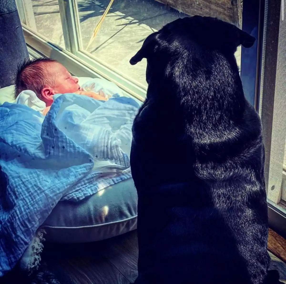 Fernando Bribiesca 2.jpg