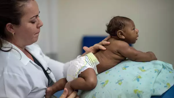 La OMS reconoció la conexión entre el zika y la microcefalia, pero nuevos estudios sugieren que el virus es potencialmente peligroso con otras causas en el primer trimestre de gestación.