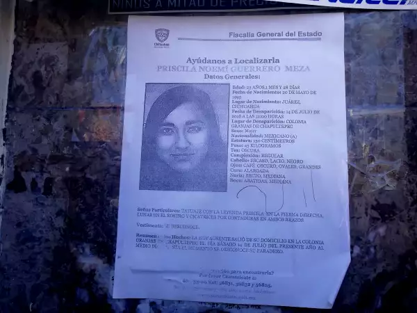 Desaparecidas