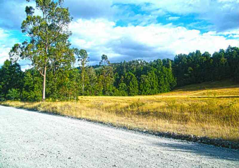 Camino Rural