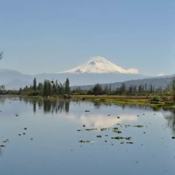 canales de xochimilco