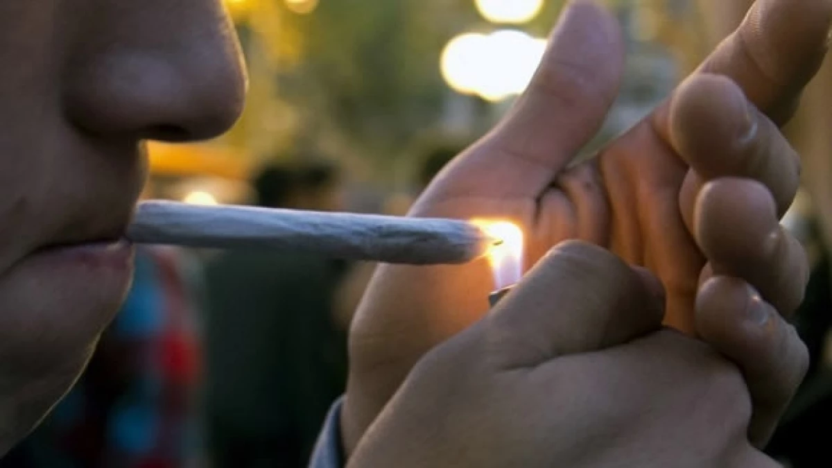 Spice y otros medicamentos sintéticos similares a menudo se comercializan como material vegetal legal cubiertos de químicos