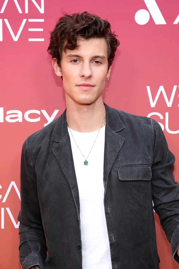 Shawn Mendes, cantante