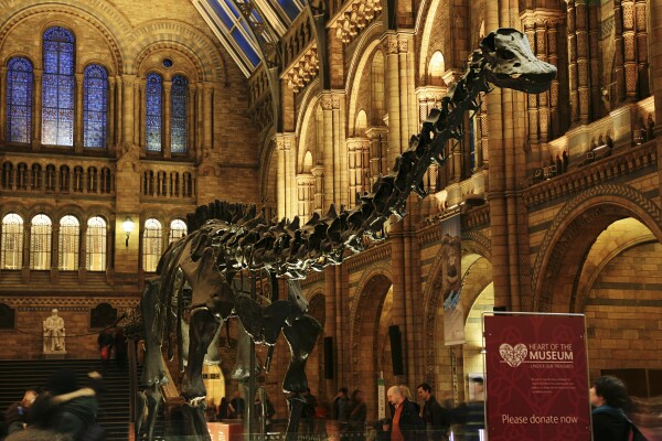 Natural History Museum london