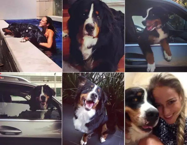 Lo tenemos que admitir, lo que mÃ¡s nos gusta del Instagram de Vanessa son las fotos de su perro.