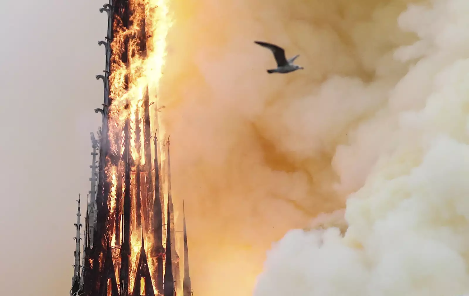 Incendio Notre Dame-10