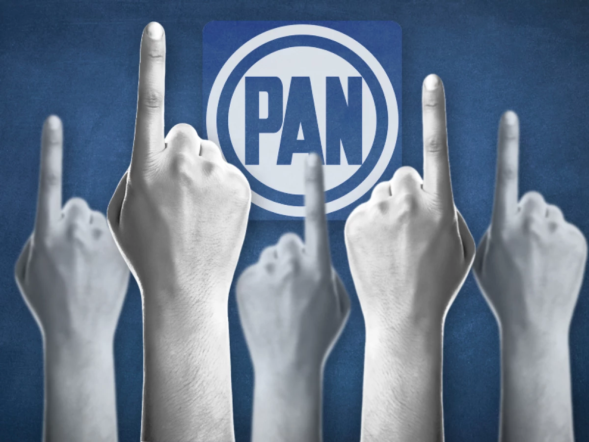 Interna panista