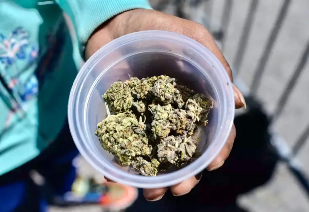 Marihuana medicinal