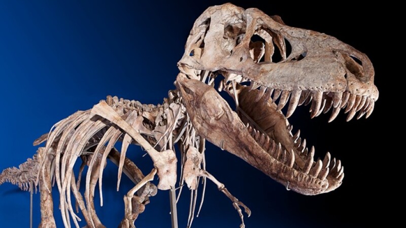 Tiranosaurio